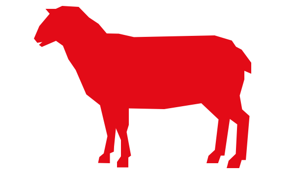 vendita carne ovina