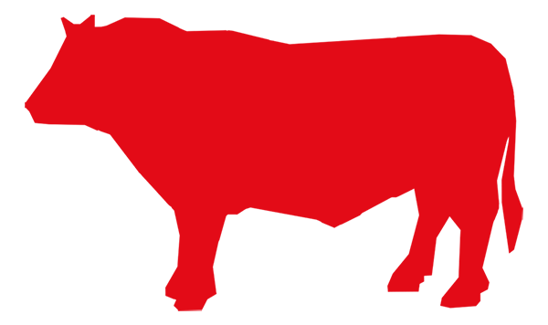vendita carne bovina