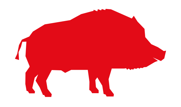 vendita carne di cinghiale