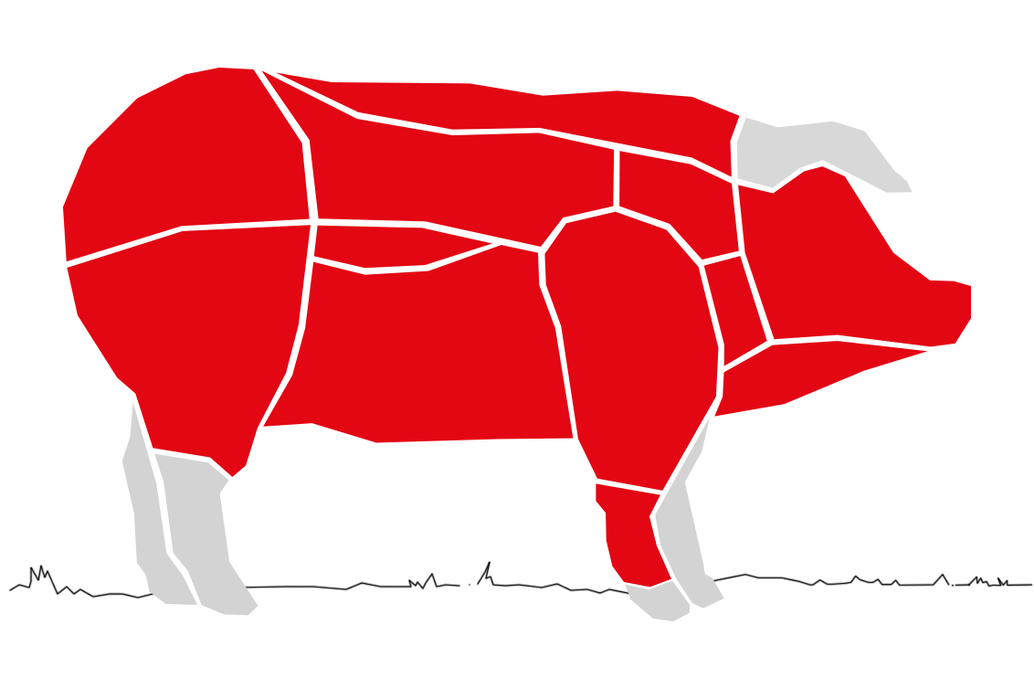 vendita carni suine cuneo