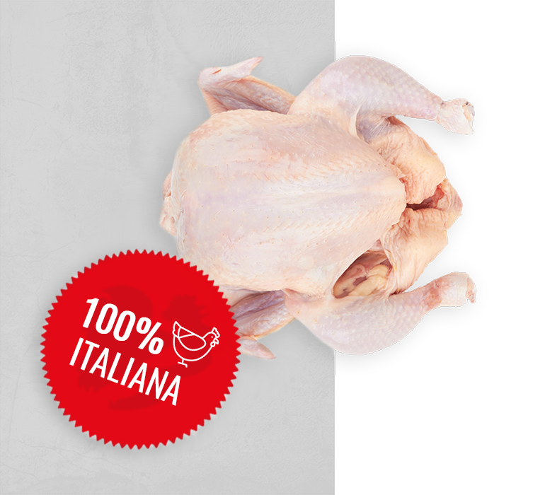 vendita polli cuneo