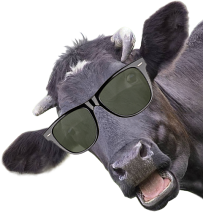 vendita carne bovina
