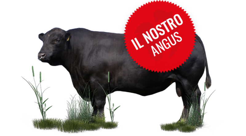 vendita carne angus